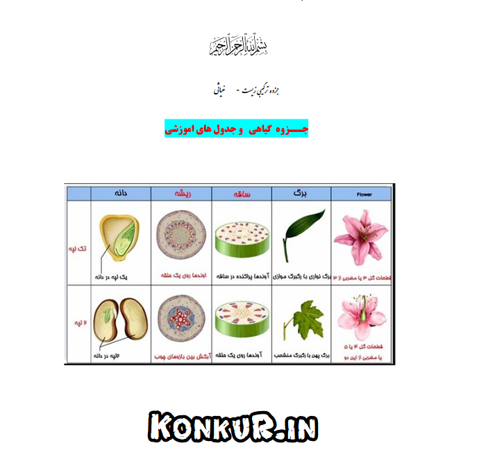 دانلود جزوه زیست گیاهی و جدول های گیاهی، علی غیاثی