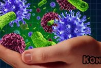 فیلم تدریس زیست رمزگردانی ویروسها و باکتریها