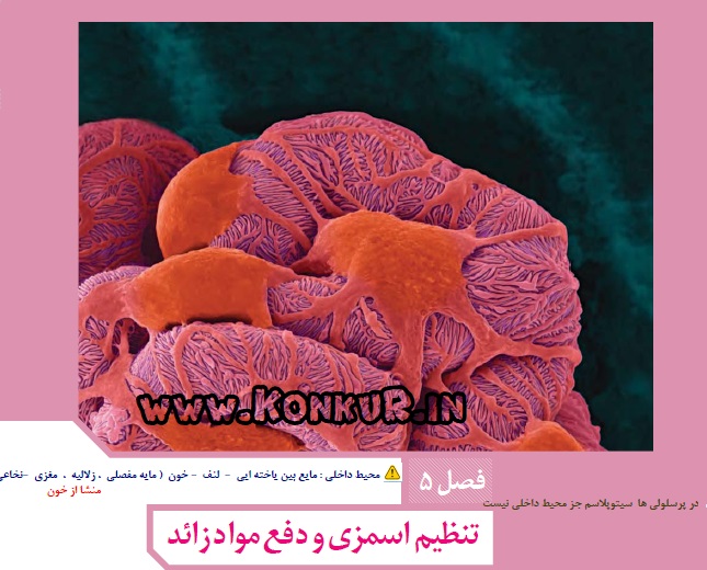 جزوه نکات عالی زیست دهم دفع مواد