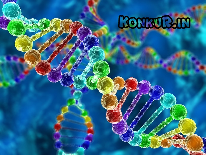 200 تست دشوار جمع بندی ژنتیک زیست شناسی