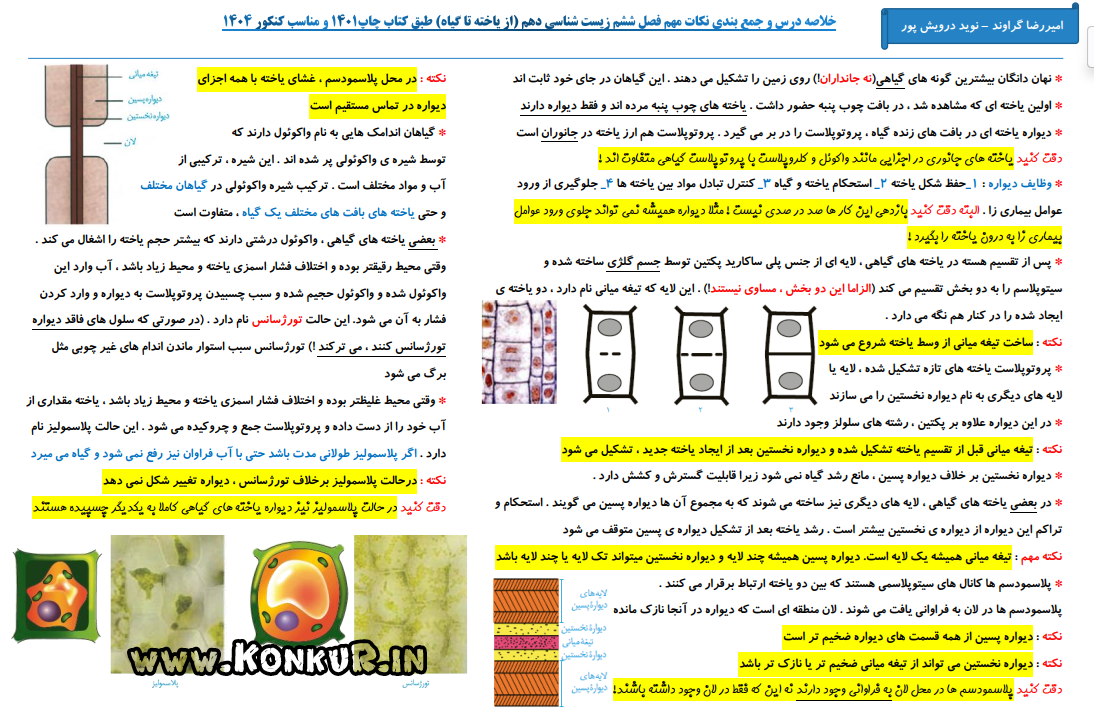 دانلود جزوه جمعبندی کامل زیست‌ گیاهی