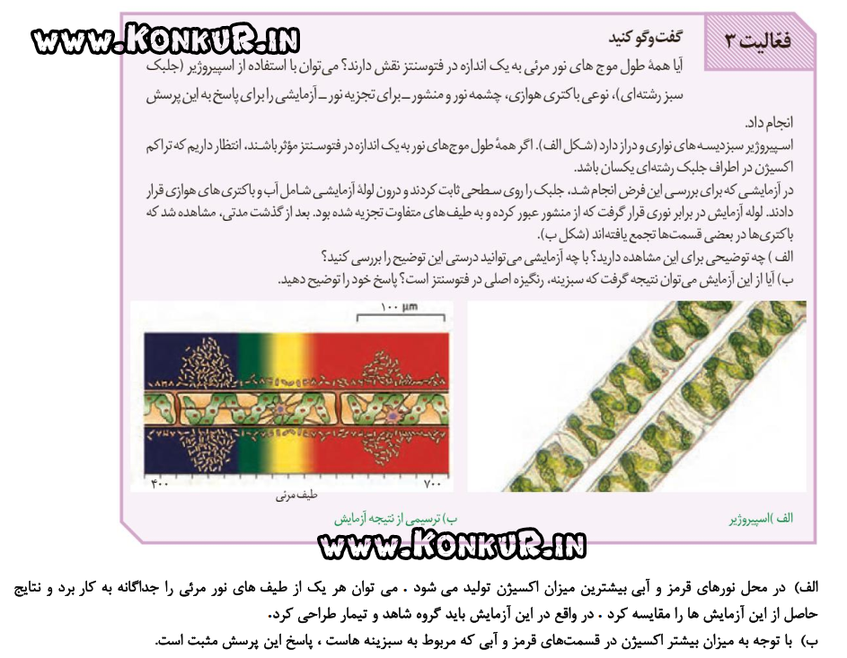 پاسخ فعالیتهای زیست شناسی پایه دوازدهم ، یازدهم و دهم