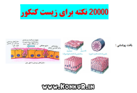 بیست هزار نکته ترکیبی زیست شناسی