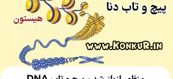 جزوه ترکیبی زیست دوازدهم بهمراه رمزگذاری