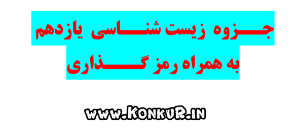 جزوه فوق ترکیبی زیست شناسی پایه یازدهم