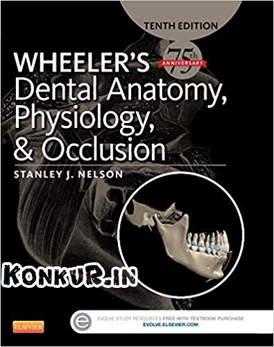 دانلود کتاب آناتومی دندانی، فیزیولوژی و آکلوژن ویلر ویرایش 10